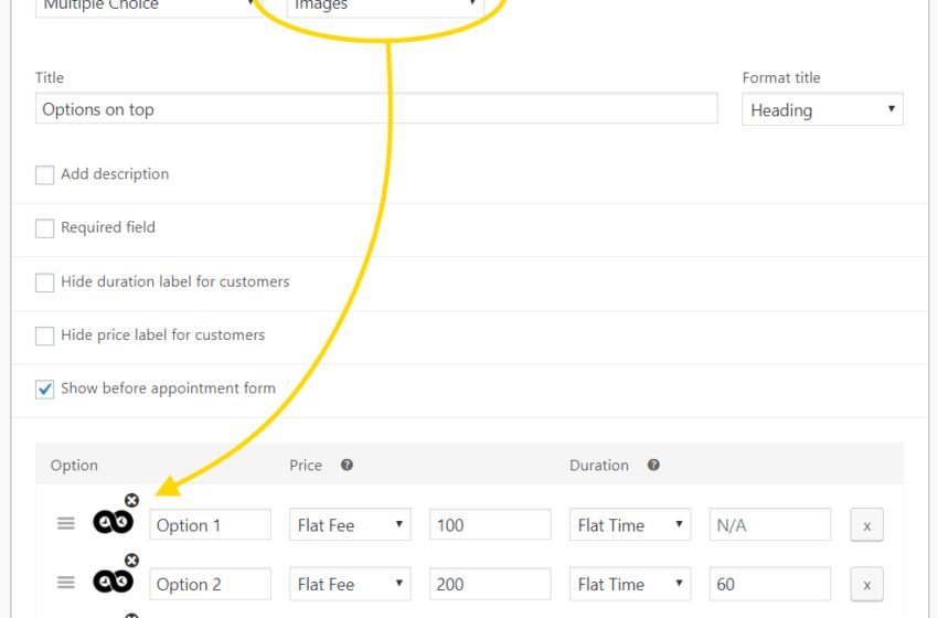  Appointments 4.2 – New Add-on Fields