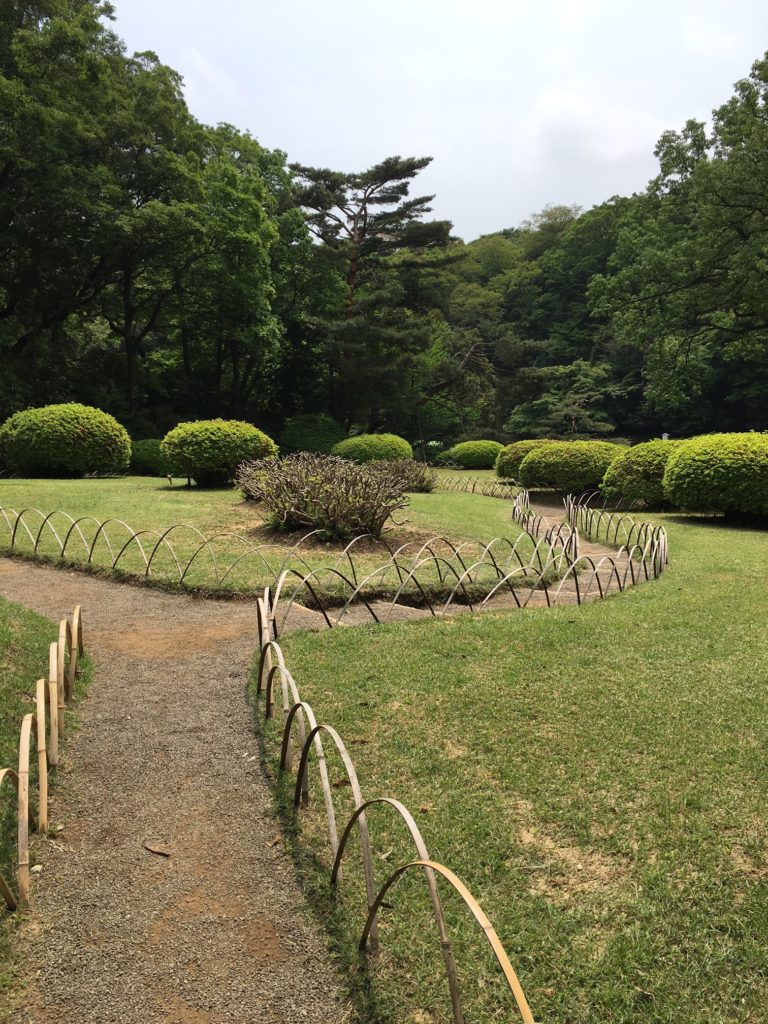 MeijiJinguGarden.
