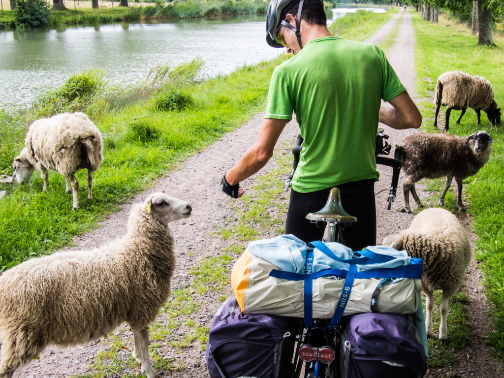 Sustainable Travel: Seeing the World While Taking Care of It